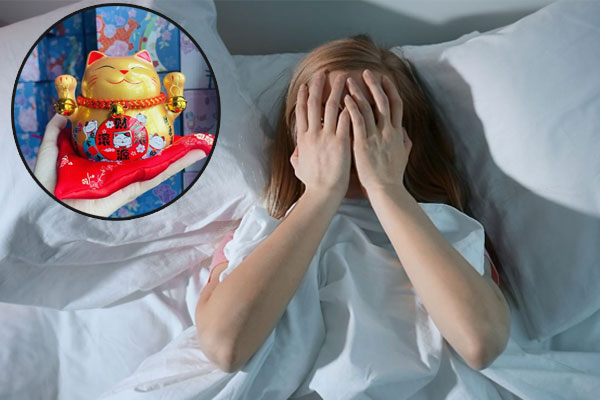 Gây gián đoạn giấc ngủ, ảnh hưởng đến sức khỏe khi đặt mèo thần tài tại không gian này Gây gián đoạn giấc ngủ, ảnh hưởng đến sức khỏe khi đặt mèo thần tài tại không gian này