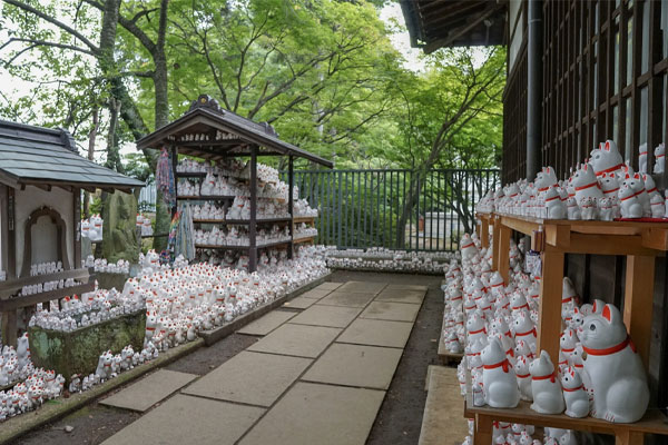 Mèo thần tài Maneki Neko gắn liền với chùa Gotokuji nổi tiếng tại Tokyo Mèo thần tài Maneki Neko gắn liền với chùa Gotokuji nổi tiếng tại Tokyo