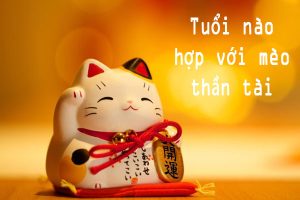 Tuổi nào hợp với mèo thần tài