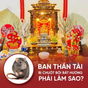 Cẩn trọng khi bát hương bị chuột phá