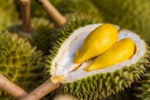 Không nên lựa chọn những loại trái cây có mùi hương quá nồng như sầu riêng